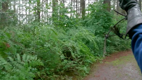 Red-tailed Hawk Slow Motion Close Up trained Bird Flying Stock Footage 171398935