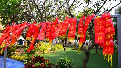 Red Talisman 動画素材 123356463