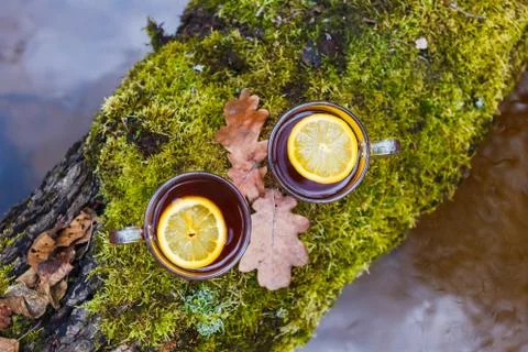 Red tea with lemon in a glass mug on the nature. On a tree with moss over a r Stock Photos