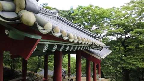  red temple in forest, red temple in mountain Stock-Footage 306033994