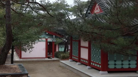 Red temple view in the forest Stock Footage 305817984