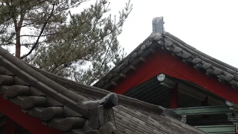 Red temple view in the forest Video stock 305817985