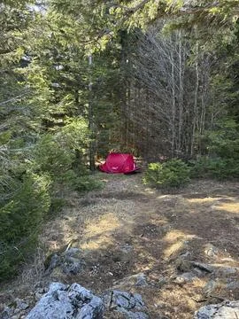Red tent placed in a forest clearing surrounded by trees during daylight ho.. Stock Photos