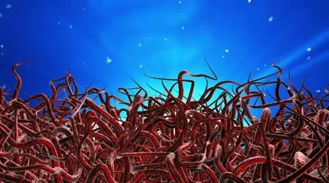 Red tentacles Stock Footage 38731653