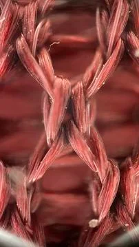 Red Textile Pattern Background Stock-Fotos
