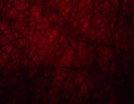 Red texture background for graphic design Stock Photos