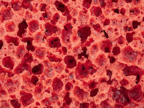Red texture of sponge as abstract background Stock Photos