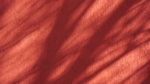 Red textured wall close up with natural shadows. Sparse texture and background Stock Footage 234325862