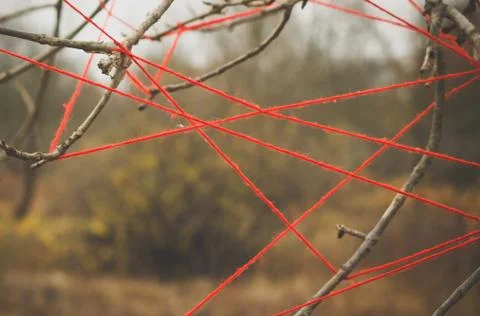 Red threads stretched on the branches of a tree. Stock Photos