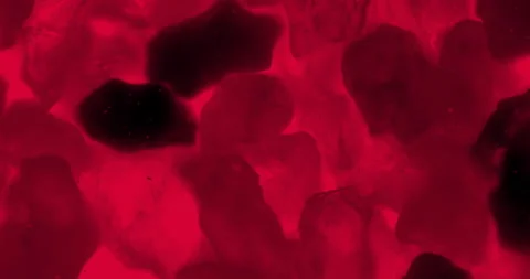 Red thriller rocks with floating bacteria and germs under a microscope lens Stock Footage 199315571