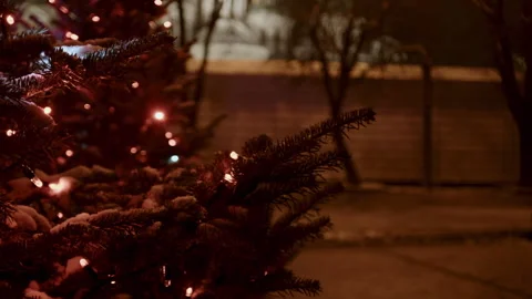 The red-throated one on a small Christmas tree Stock Footage 261405099