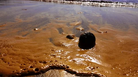 Red tide Stock Footage 146353786