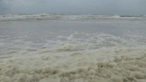 Red Tide Hurricane Michael Vidéo 96429105