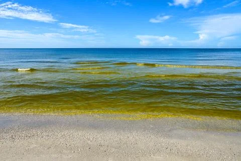 Red Tide Stock Photos