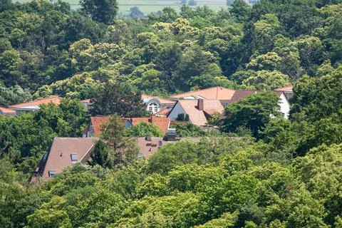 Red Tiled Rooftops Nestled in Lush Forest Near Bad Drkheim, Germany  Suburb.. Stock Photos