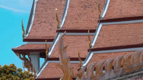 Red tiles with golden serpent-shape chofahs in traditional Thai style roof  Stock Footage 308875432