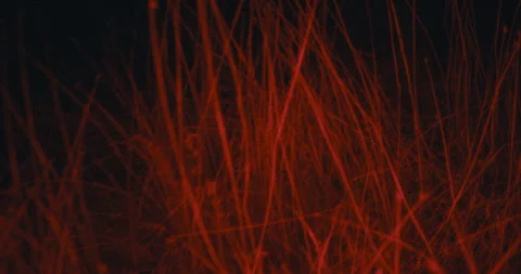 Red-Tinted Grass In A Night Scene With Eerie Vibes Stock Footage 301452915