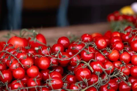 A red tiny tomatoes that just freshly picked. Stock Photos