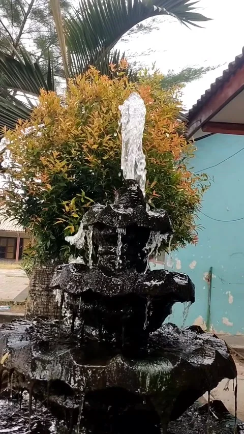Red tip flower and palm fountain 動画素材 325722574