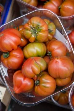 Red Tomato Background Stock Photos