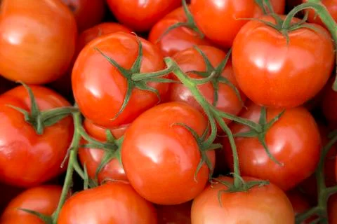 Red Tomato Background Stock Photos