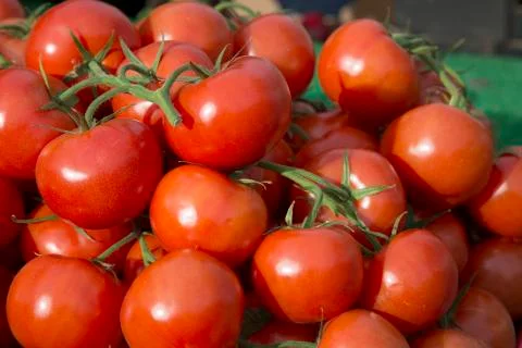 Red Tomato Background Stock Photos