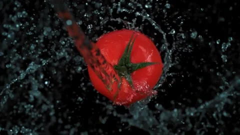 Red tomato being washed under stream of water against black background Stock Footage 327573660