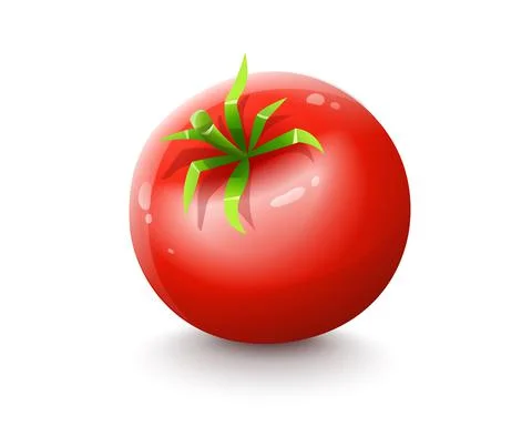 Red tomato. Cartoon vegetable fruit isolated vector. Illustration. Stock Illustration