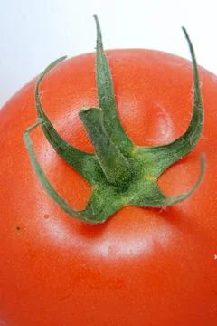 Red Tomato close up 스톡 사진