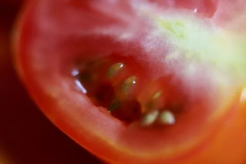 Red Tomato close up , Texture Background Stock Photos