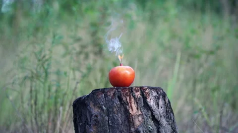 Red Tomato Explosion with Smoke Effect Stock Footage 136203628