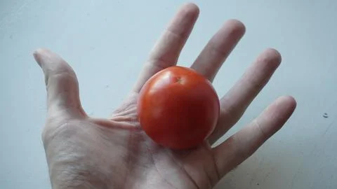 Red tomato in hand Stock Photos