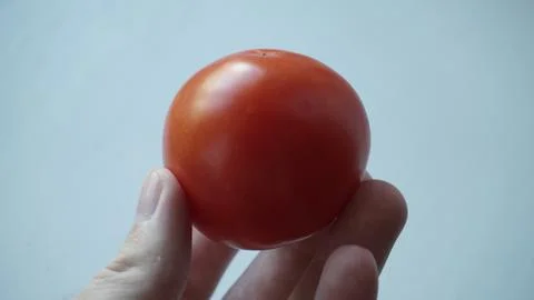 Red tomato in a hand Stock Photos