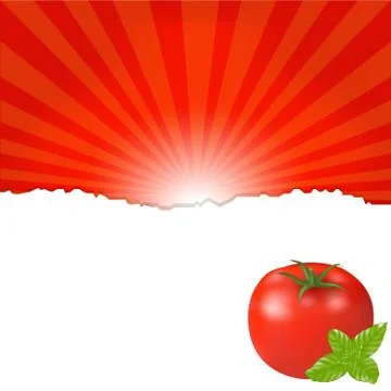Red tomato Stock Illustration