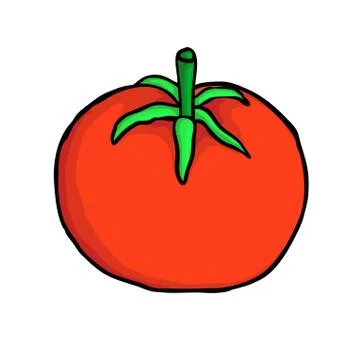 Red tomato Stock Illustration