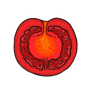 Red tomato Stock Illustration
