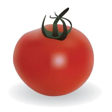 Red tomato Stock Illustration