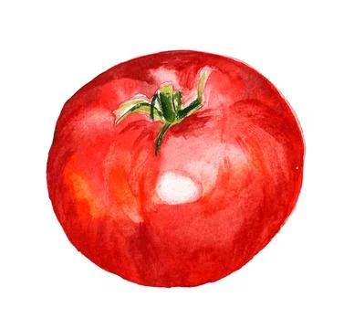 Red tomato Stock Illustration