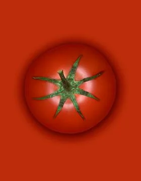 RED TOMATO ISOLATED ON RED BACKGROUND Stock Photos