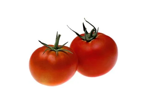 Red Tomato isolated white Stock Photos