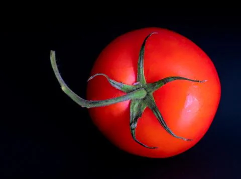 Red tomato lies on the table, vegetable Stock Photos