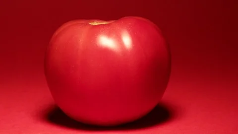 Red tomato over red background Stock Footage 119108258