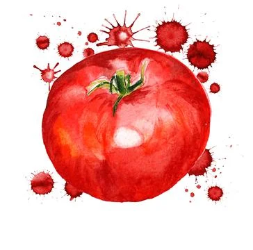 Red tomato with paint blots Stock Illustration
