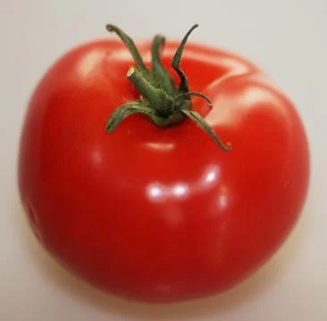 Red Tomato Foto stock