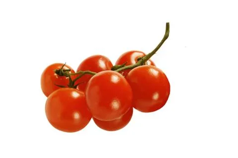 Red Tomato Stock Photos