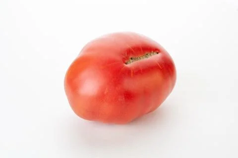 Red tomato Stock Photos