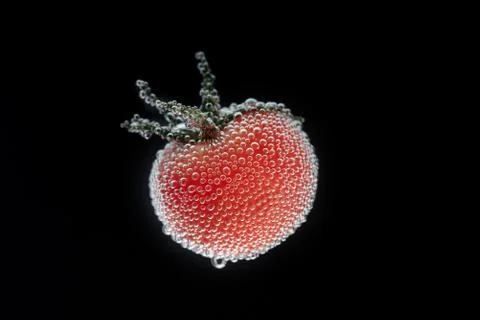 Red tomato Stock Photos