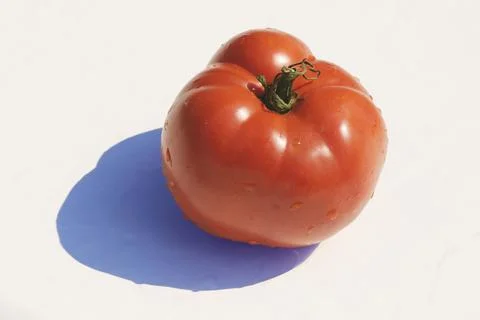 A red Tomato Stock Photos