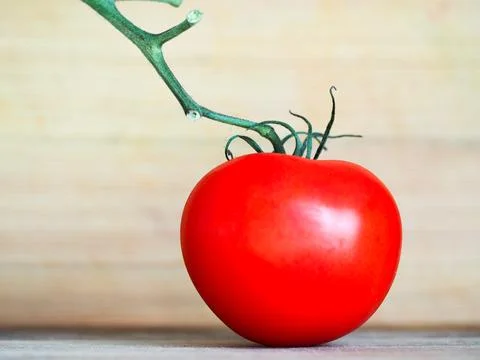 A red tomato Stock Photos