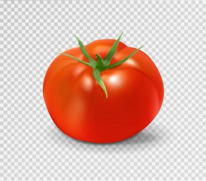 Red tomato. Realistic vector illustration Stock Illustration